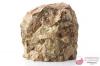 Lime mudstone nodulare